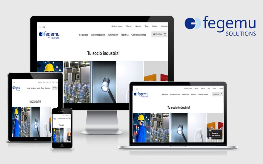 FEGEMU Solutions