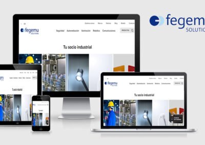 FEGEMU Solutions