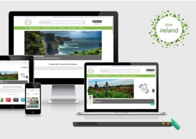 Optimización SEO en Little Ireland