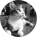 Jasone S. profile picture